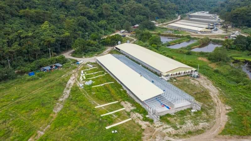 IMG-09aa06176b82d948c368c5c64c66c4e8-V